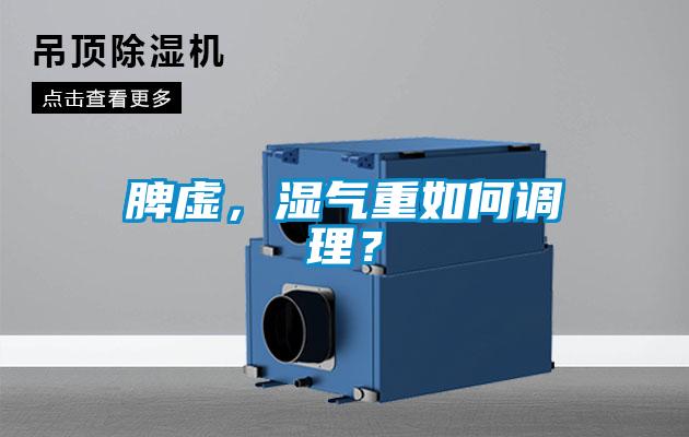 脾虛，濕氣重如何調理？