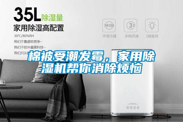 棉被受潮發霉，家用除濕機幫你消除煩惱