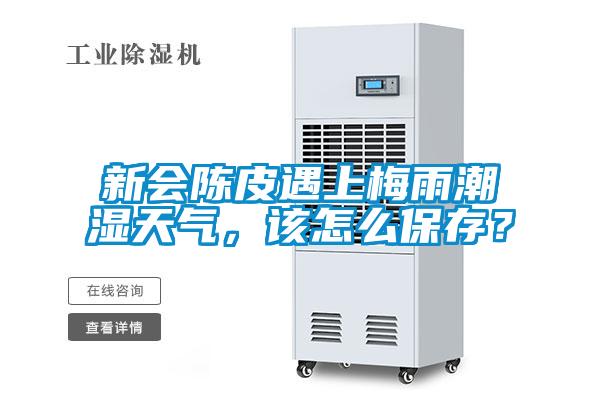 新會陳皮遇上梅雨潮濕天氣，該怎么保存？