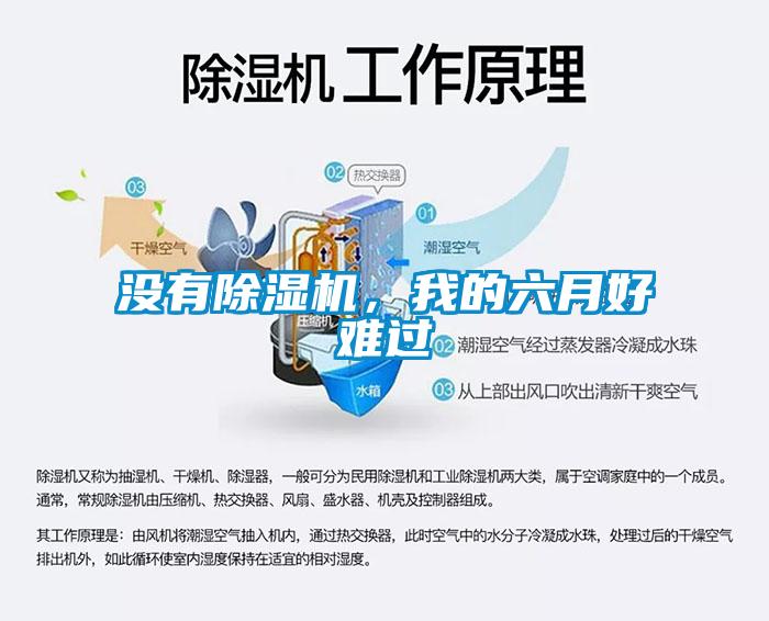 沒有除濕機(jī)，我的六月好難過