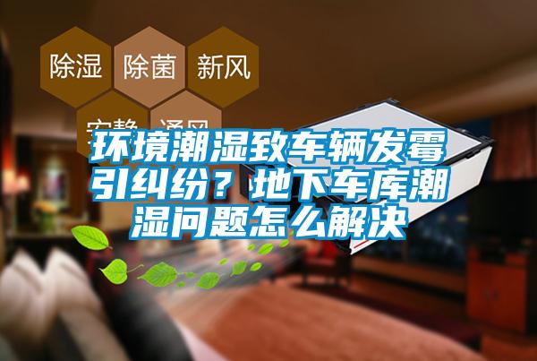 環(huán)境潮濕致車輛發(fā)霉引糾紛？地下車庫潮濕問題怎么解決