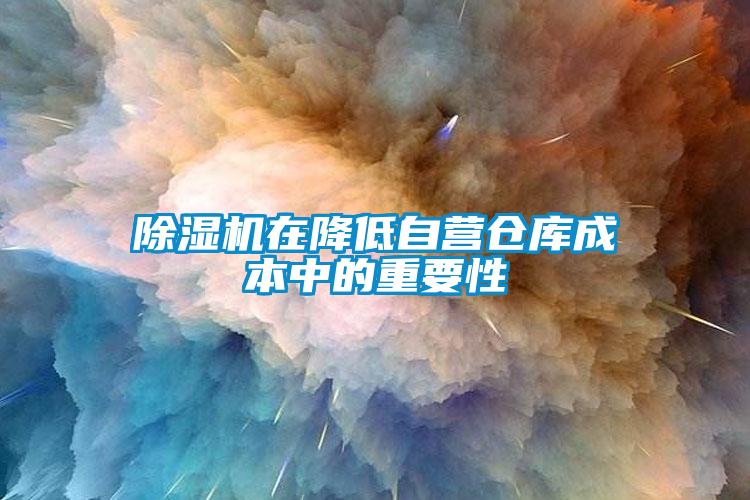 除濕機(jī)在降低自營(yíng)倉庫成本中的重要性
