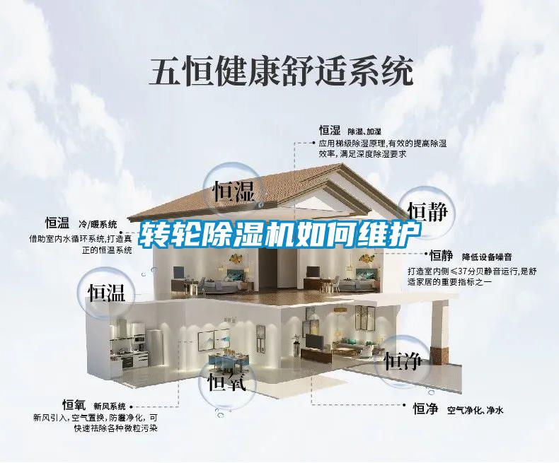 轉(zhuǎn)輪除濕機如何維護
