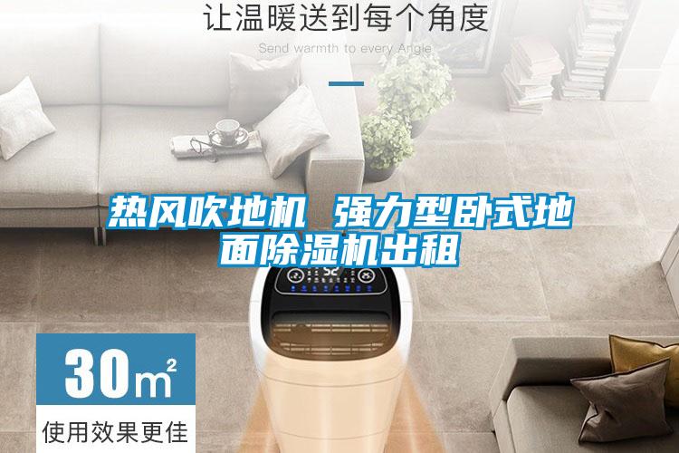 熱風(fēng)吹地機(jī) 強(qiáng)力型臥式地面除濕機(jī)出租