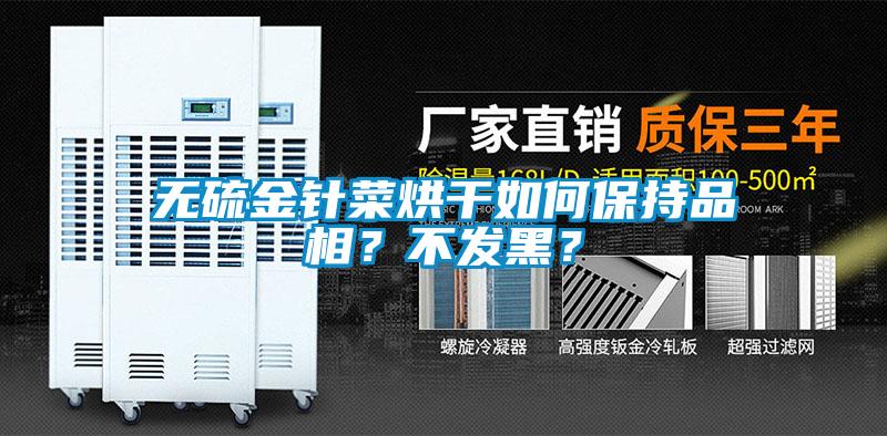 無硫金針菜烘干如何保持品相？不發黑？