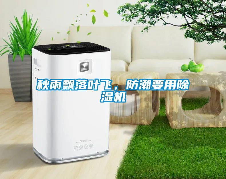 秋雨飄落葉飛，防潮要用除濕機(jī)