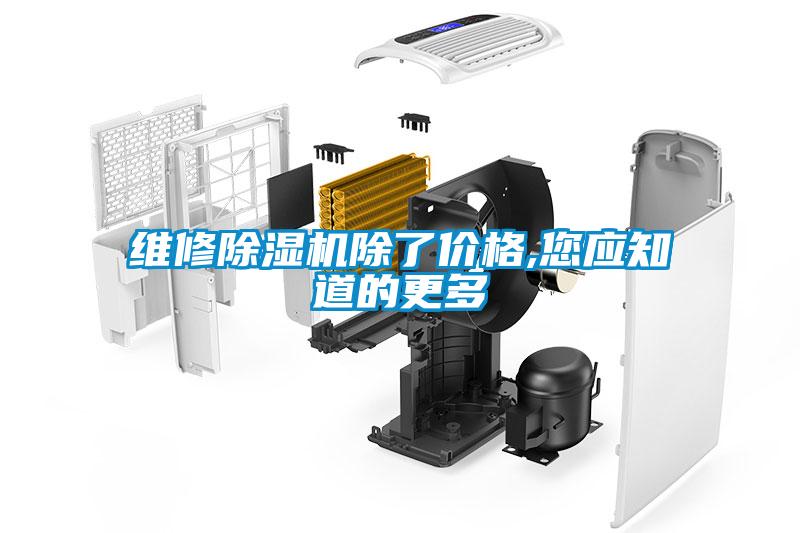 維修除濕機(jī)除了價格,您應(yīng)知道的更多