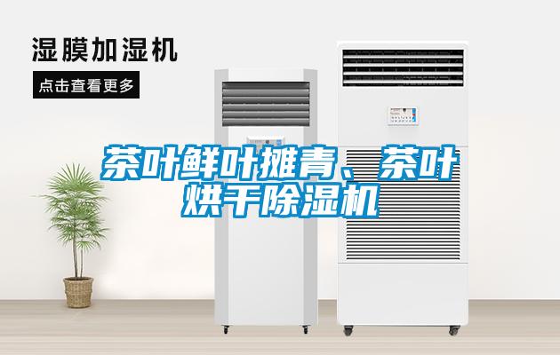 茶葉鮮葉攤青、茶葉烘干除濕機