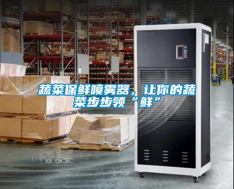 蔬菜保鮮噴霧器，讓你的蔬菜步步領“鮮”