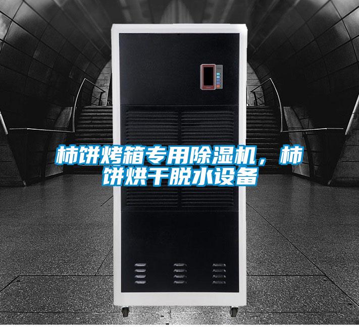 柿餅烤箱專用除濕機，柿餅烘干脫水設備