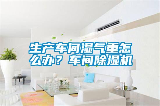 生產(chǎn)車(chē)間濕氣重怎么辦？車(chē)間除濕機(jī)