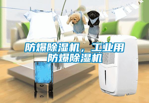 防爆除濕機，工業用防爆除濕機