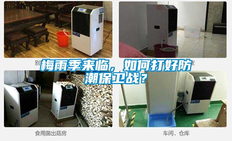 梅雨季來臨，如何打好防潮保衛戰？