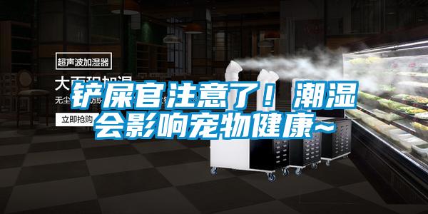 鏟屎官注意了！潮濕會影響寵物健康~