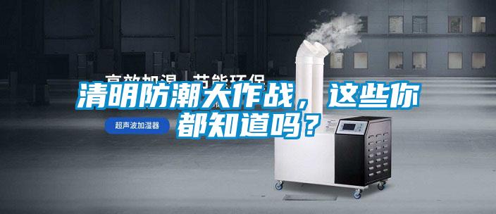 清明防潮大作戰，這些你都知道嗎？