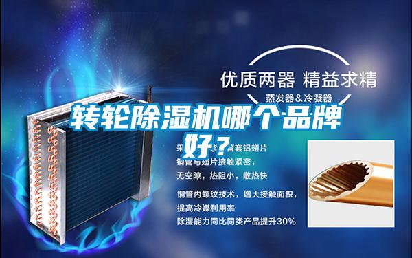 轉輪除濕機哪個品牌好？