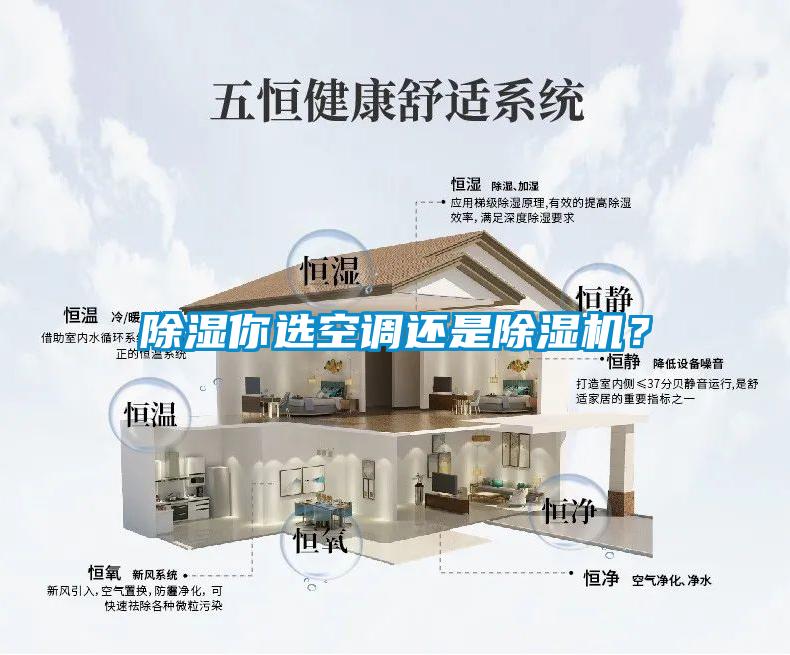 除濕你選空調(diào)還是除濕機？
