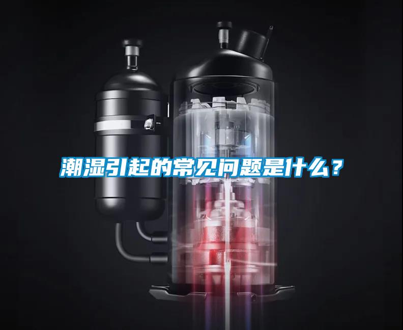 潮濕引起的常見問題是什么？
