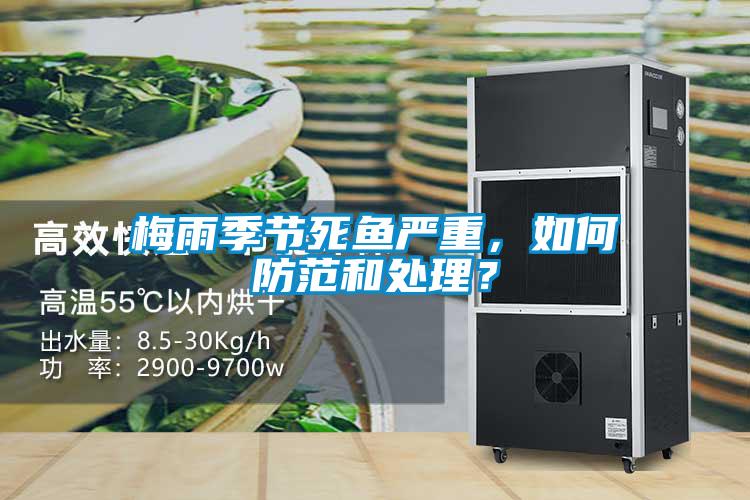 梅雨季節死魚嚴重，如何防范和處理？