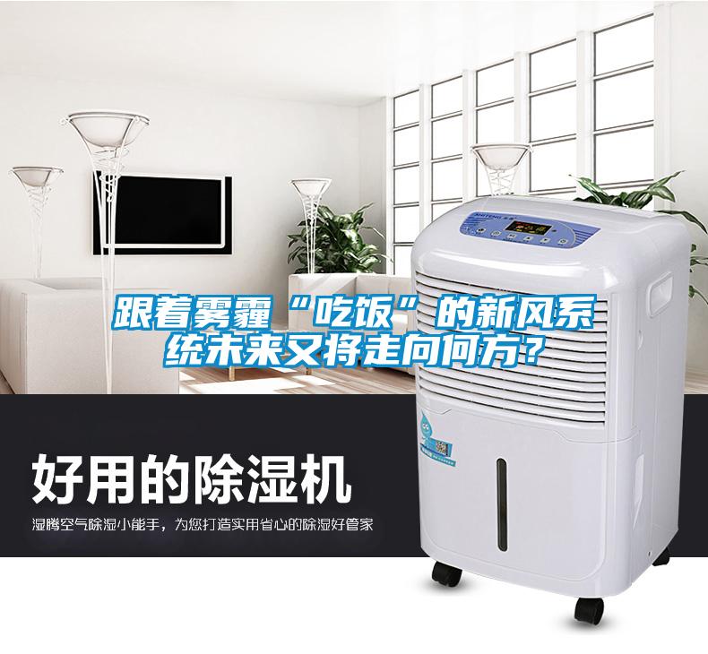 跟著霧霾“吃飯”的新風(fēng)系統(tǒng)未來(lái)又將走向何方？