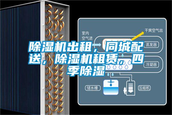 除濕機出租，同城配送，除濕機租賃，四季除濕