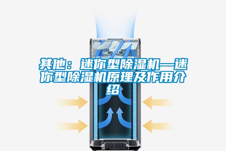 其他：迷你型除濕機(jī)—迷你型除濕機(jī)原理及作用介紹
