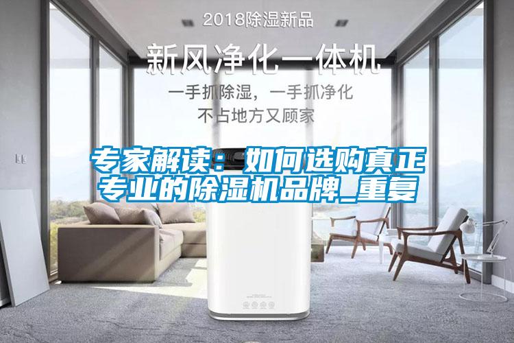 專(zhuān)家解讀：如何選購(gòu)真正專(zhuān)業(yè)的除濕機(jī)品牌_重復(fù)