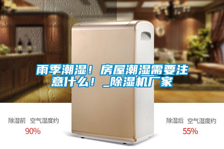 雨季潮濕！房屋潮濕需要注意什么！_除濕機廠家