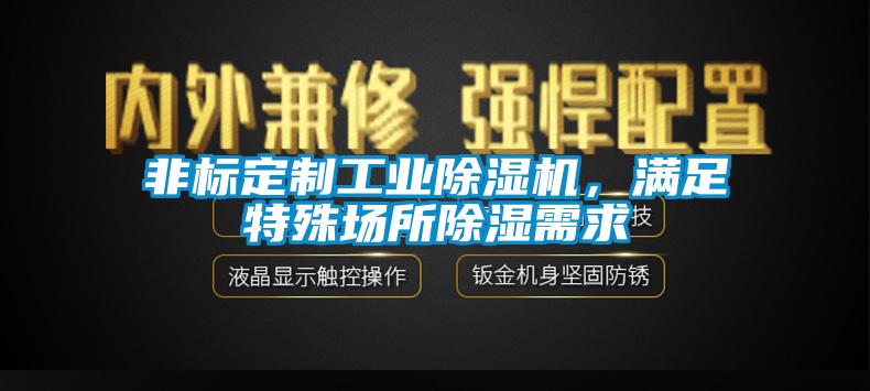 非標定制工業除濕機，滿足特殊場所除濕需求