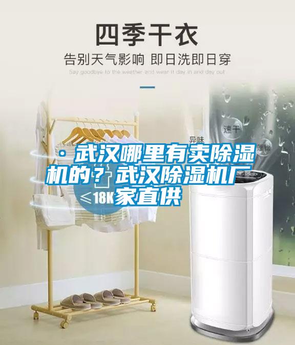 ·武漢哪里有賣除濕機(jī)的？武漢除濕機(jī)廠家直供