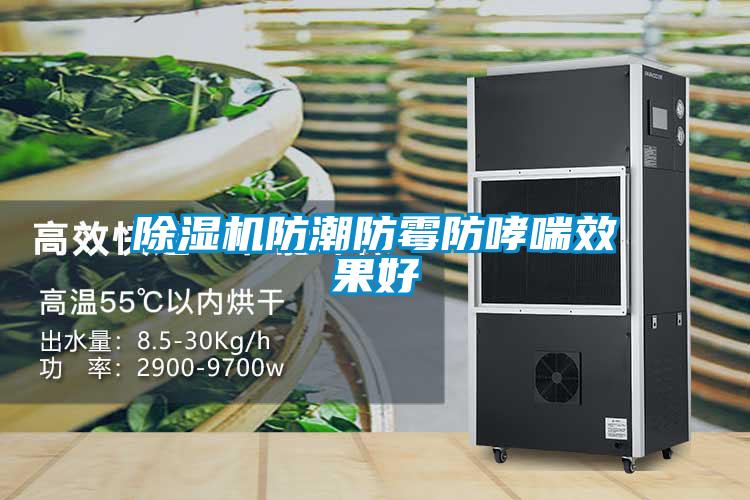 除濕機(jī)防潮防霉防哮喘效果好