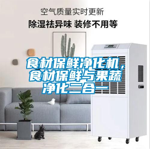 食材保鮮凈化機，食材保鮮與果蔬凈化二合一