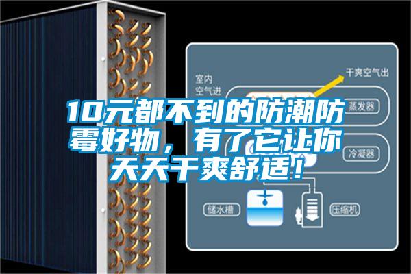 10元都不到的防潮防霉好物，有了它讓你天天干爽舒適！