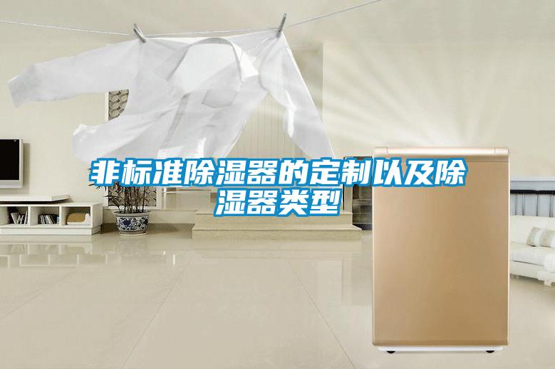 非標(biāo)準(zhǔn)除濕器的定制以及除濕器類型