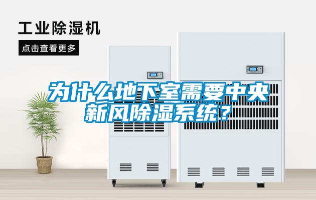 為什么地下室需要中央新風除濕系統？