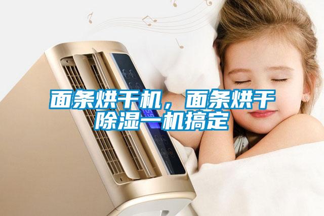 面條烘干機(jī)，面條烘干除濕一機(jī)搞定