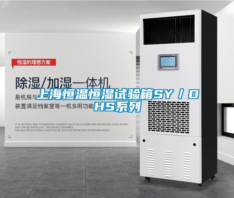 上海恒溫恒濕試驗(yàn)箱SY／DHS系列