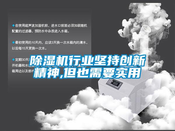 除濕機(jī)行業(yè)堅持創(chuàng)新精神,但也需要實用