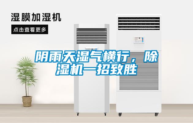 陰雨天濕氣橫行，除濕機(jī)一招致勝