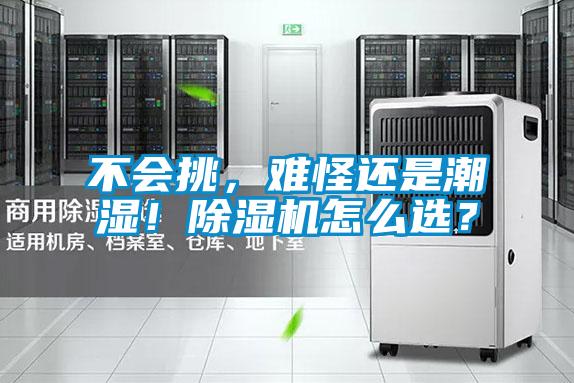 不會挑，難怪還是潮濕！除濕機怎么選？