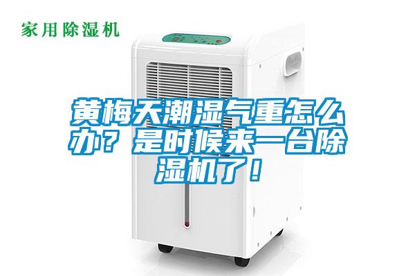 黃梅天潮濕氣重怎么辦？是時(shí)候來一臺除濕機(jī)了！