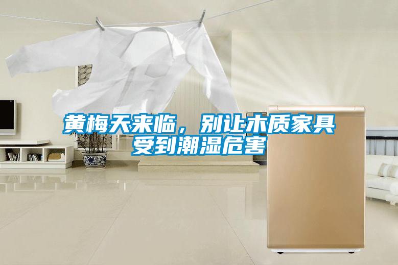 黃梅天來臨，別讓木質家具受到潮濕危害