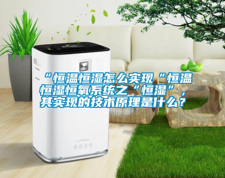 “恒溫恒濕怎么實現“恒溫恒濕恒氧系統之“恒濕”，其實現的技術原理是什么？