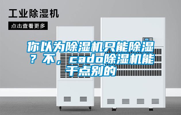 你以為除濕機(jī)只能除濕？不，cado除濕機(jī)能干點別的