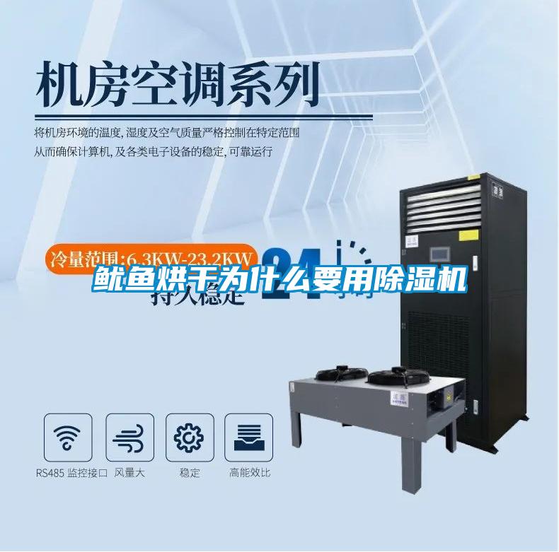 魷魚(yú)烘干為什么要用除濕機(jī)