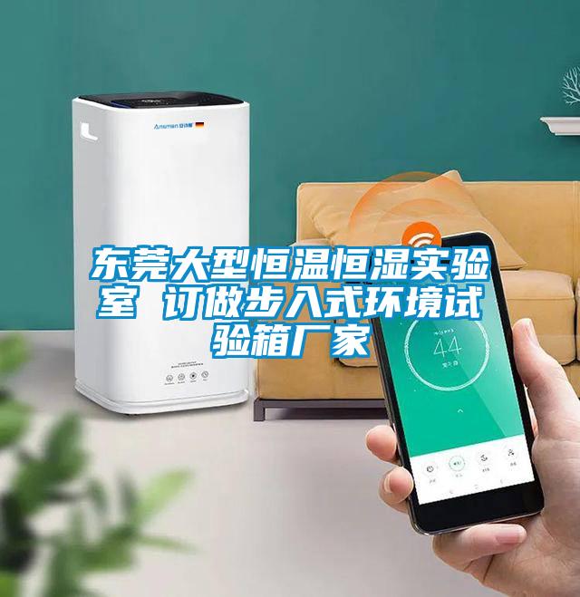 東莞大型恒溫恒濕實(shí)驗室 訂做步入式環(huán)境試驗箱廠家