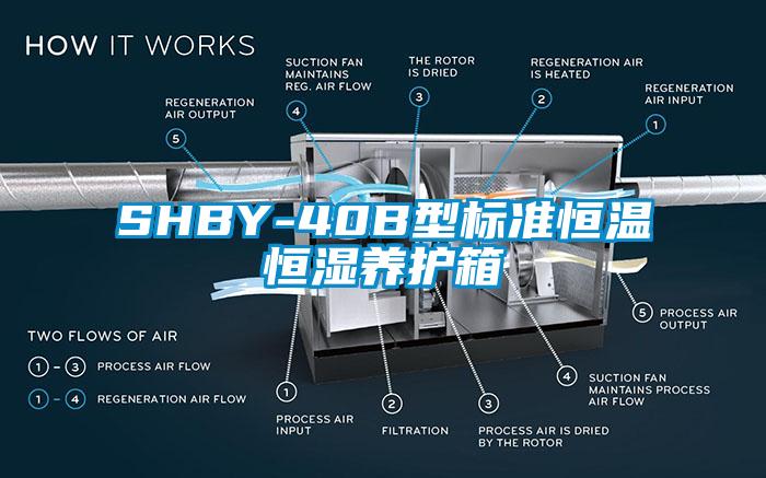 SHBY-40B型標(biāo)準(zhǔn)恒溫恒濕養(yǎng)護(hù)箱