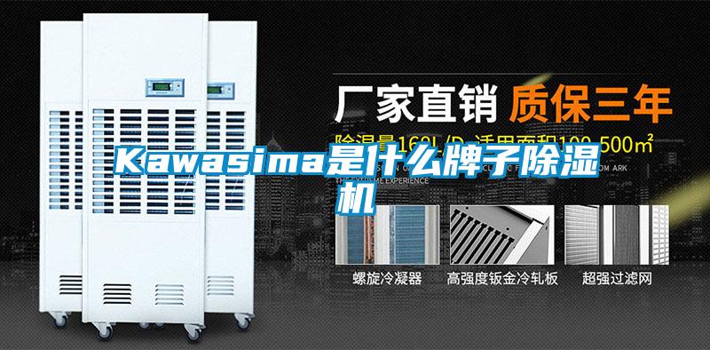 Kawasima是什么牌子除濕機(jī)