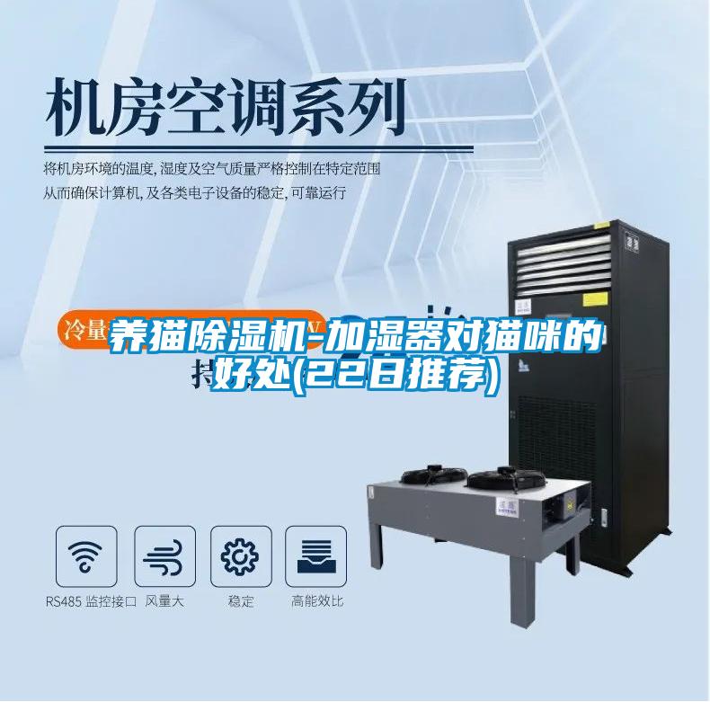 養(yǎng)貓除濕機(jī)-加濕器對(duì)貓咪的好處(22日推薦)