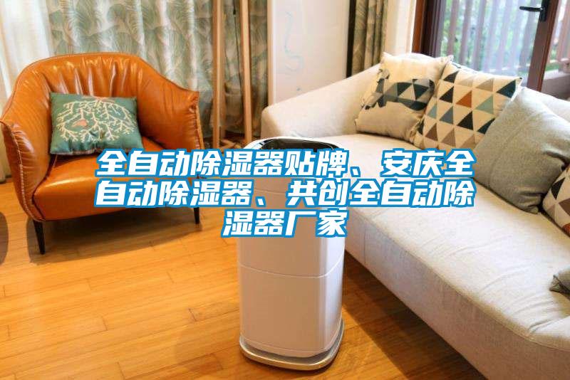 全自動(dòng)除濕器貼牌、安慶全自動(dòng)除濕器、共創(chuàng)全自動(dòng)除濕器廠家